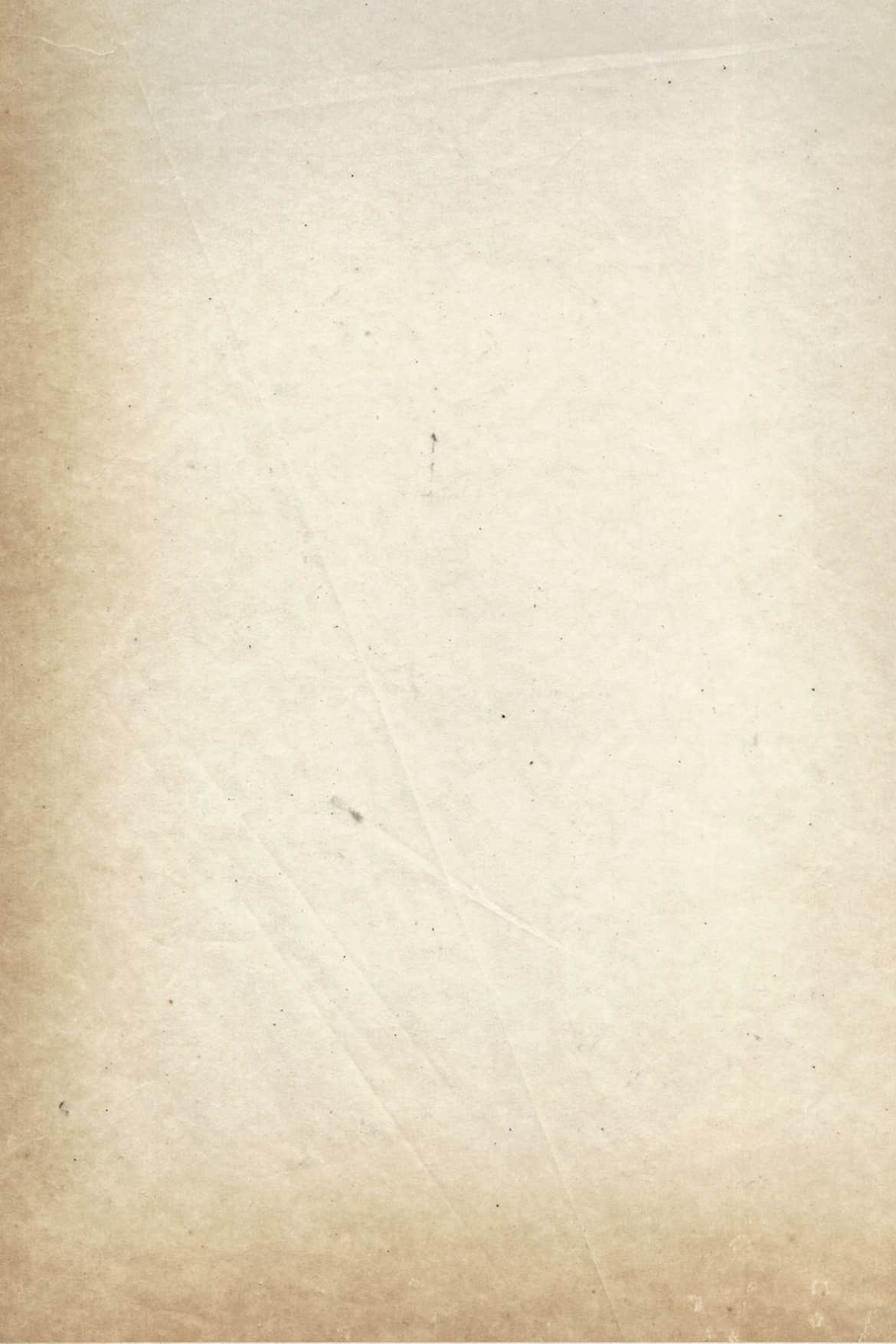 fondo.jpg
